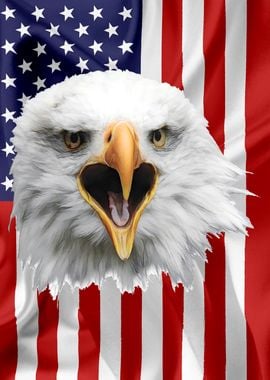 American Eagle Flag 13