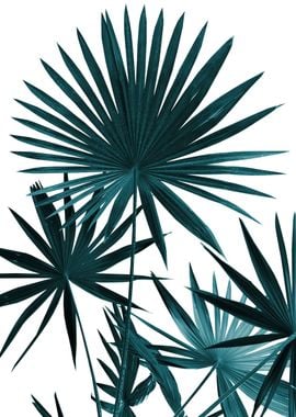 Fan Palm Leaves Jungle 1