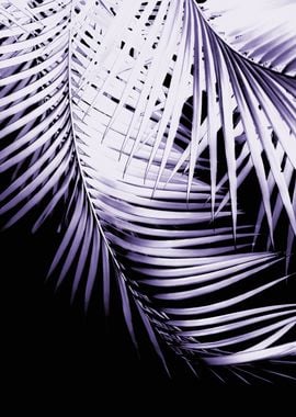 Palm Leaves Ultra Violet 3