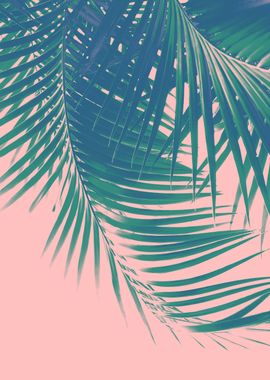 Palm Leaves Blush Summer 2