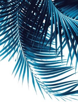 Palm Leaves Blue Vibes 1