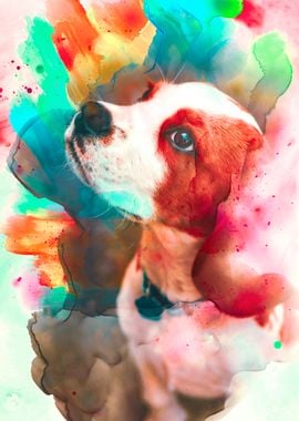 Beagle Illustration