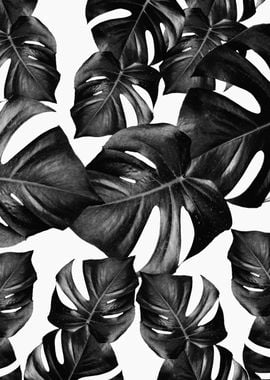 Monstera Leaves Pattern 9