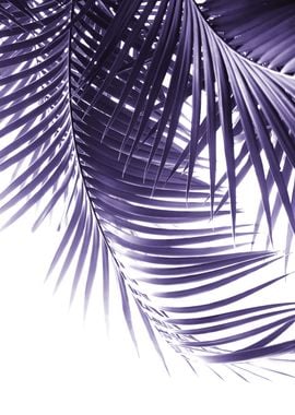 Palm Leaves Ultra Violet 2