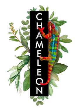 Panther Chameleon Tropical