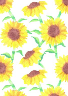 Sunflowers or Helianthus