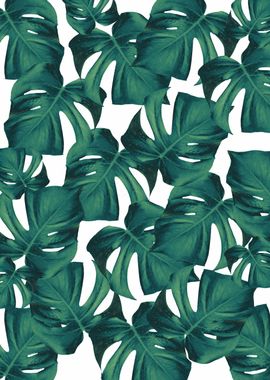 Tropical Monstera Leaves 2