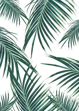 Green Palm Leaves Dream 2