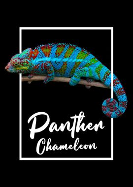 Panther Chameleon Modern