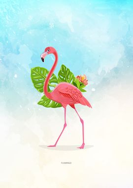 Flamingo