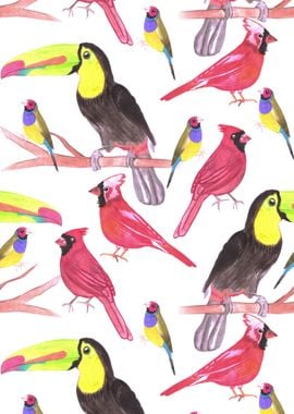 watercolor birds in tetrad