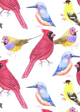 Birds in triad color schem