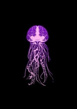 jellyfish Brain