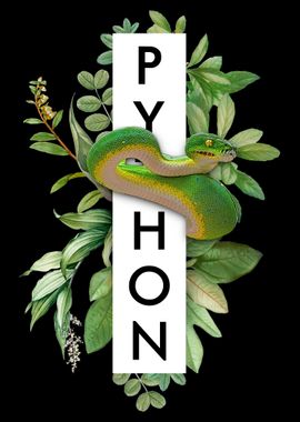 Green Tree Python Jungle