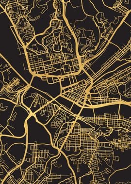 Pittsburgh Map Gold