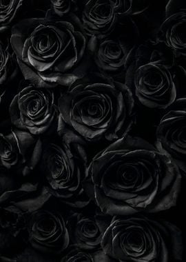 black flowers poster