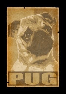 Pug Vintage