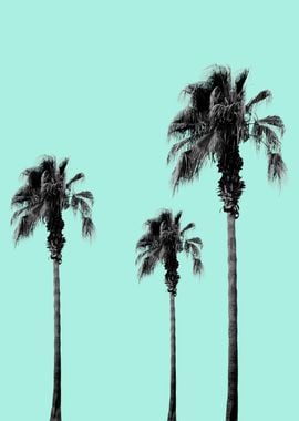 Boho Palm Trees Dream 1