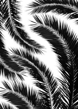 Bohemian Palms Jungle 1