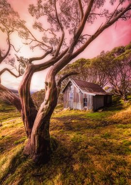 Cope Hut Sunrise