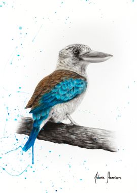 One Clever Kookaburra