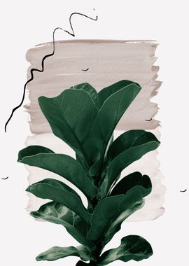 Fiddle Leaf Naturelle 1 