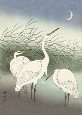 Herons in Swamp woodblock