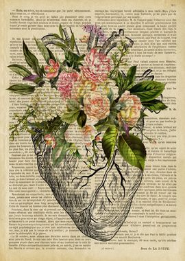 Anatomical Human Heart wall art human heart wall decor