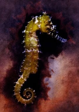 Sea horse