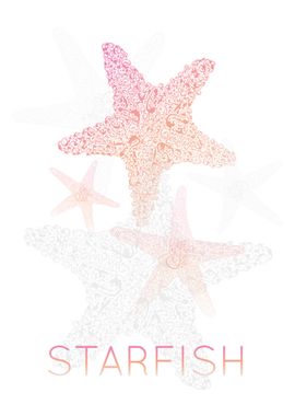 Starfish Silhouette