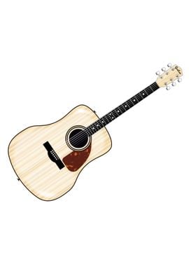 Pale Acoustic Guitar