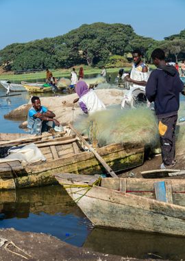 wooden fishing boats