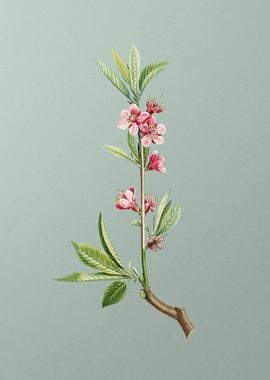 Pink Flower Branch on Mint