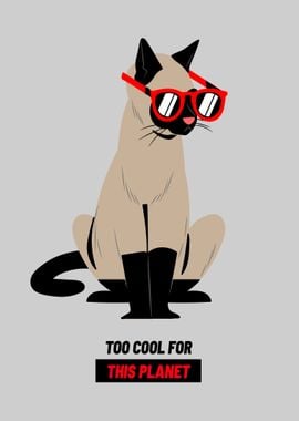 Funny Cat with Sunglasses