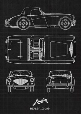 Austin Healey 100 1954