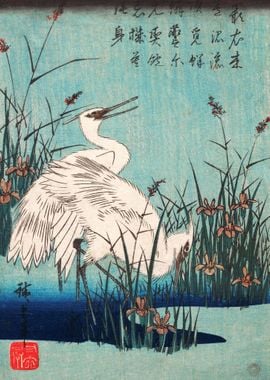 Egret in Iris and Grasses