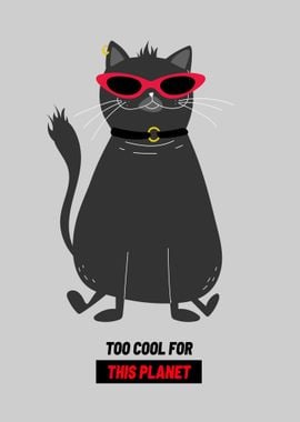 Cool Cat with Sunglasses