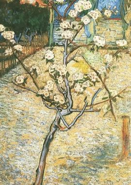 Van Gogh Blossoming tree