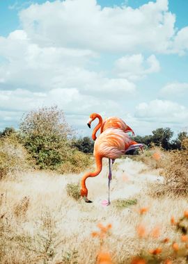 Flamingo Couple