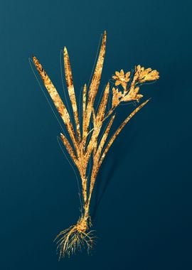 Gold Antique Botanicals