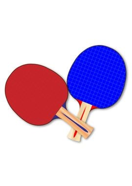 Two Table Tennis Bats