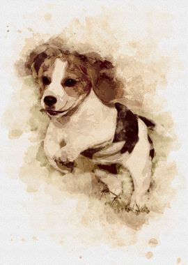 Beagle