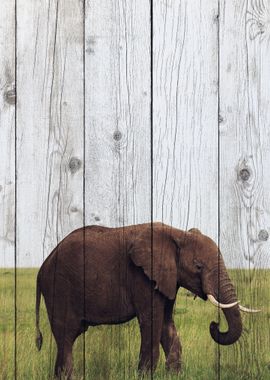 Elephant Art