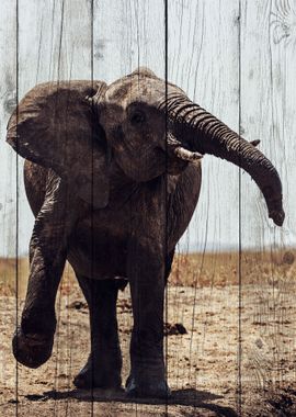 Elephant Art