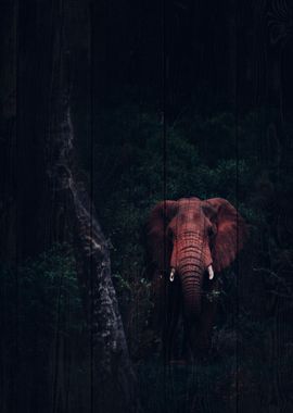 Elephant Art