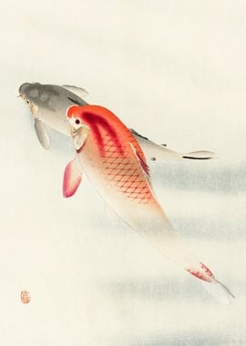 Carp Fish Woodblock Print