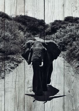 Elephant Art