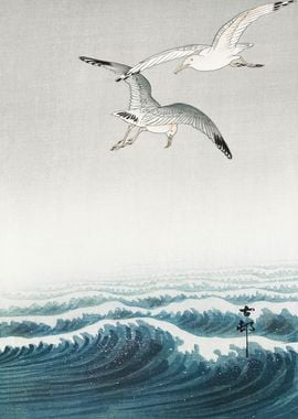 Seagulls and stormy sea