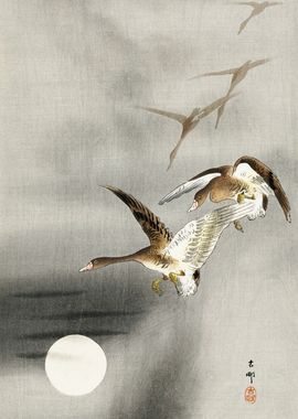 Geese flying at night art