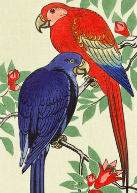 Parrots and pomegranate 